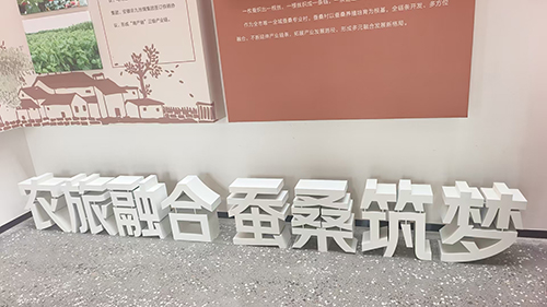 飞速发展的江苏桑芝醇酒业有限公司