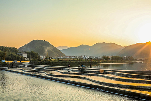 稻花香里“画”联盟