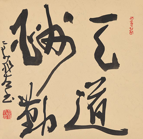 “非遗左书”文创第一人——高菲